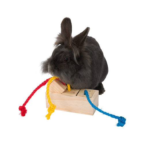 Rosewood Trixie Snack Cube