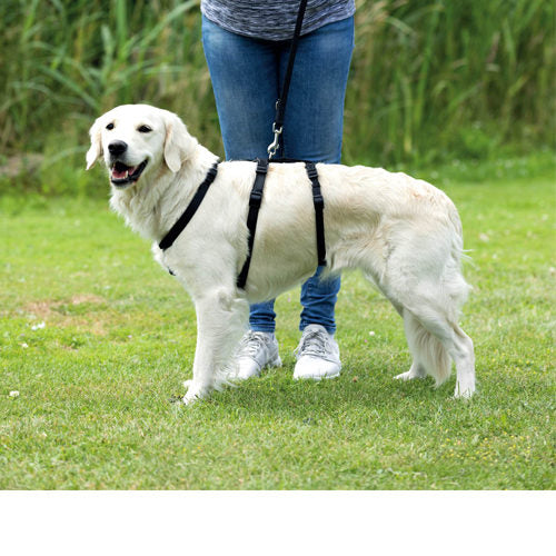  Trixie Stay Dog Harness