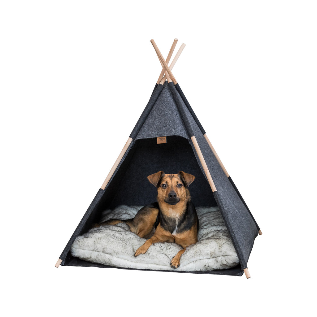  Trixie Tipi