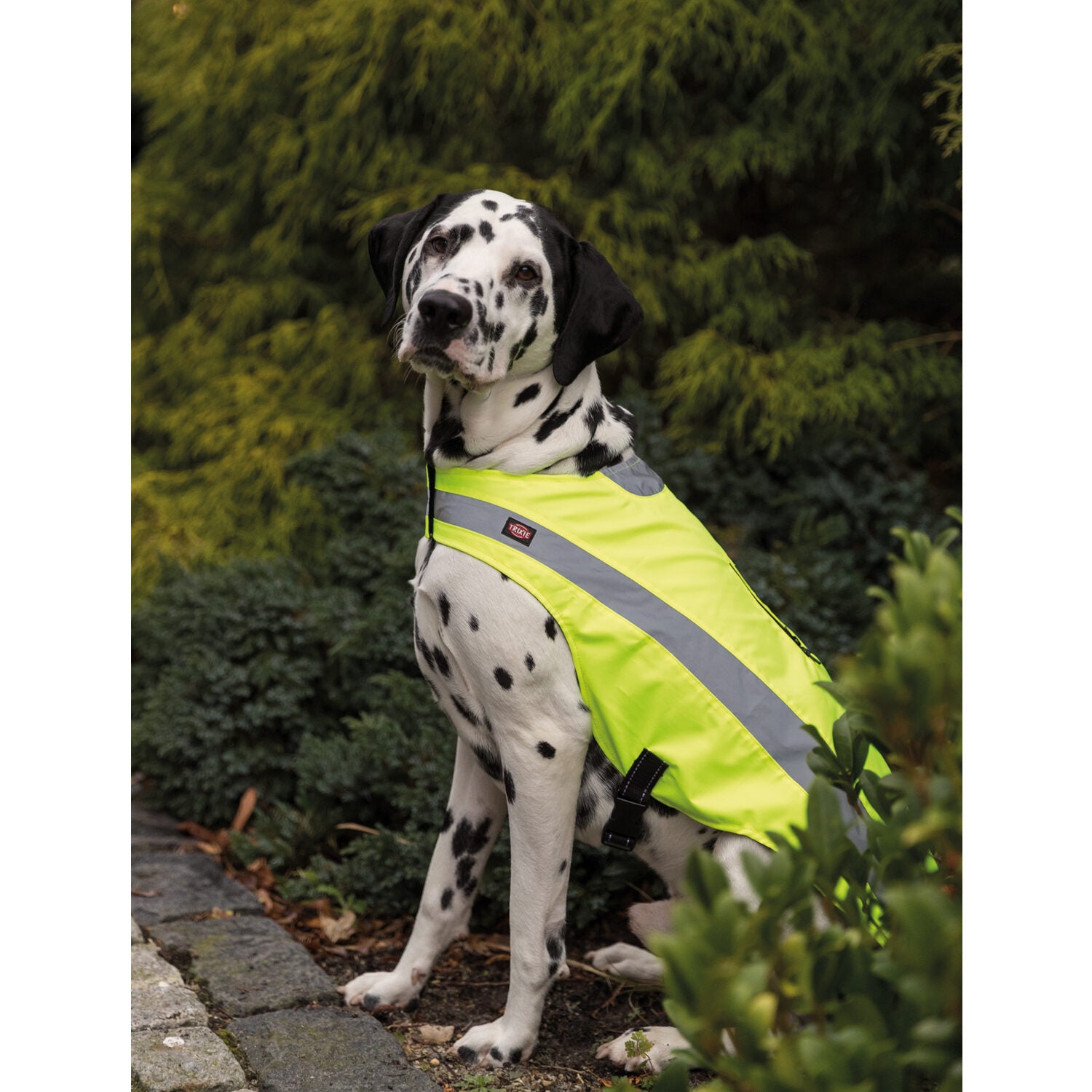  Trixie Reflective Safety Vest 