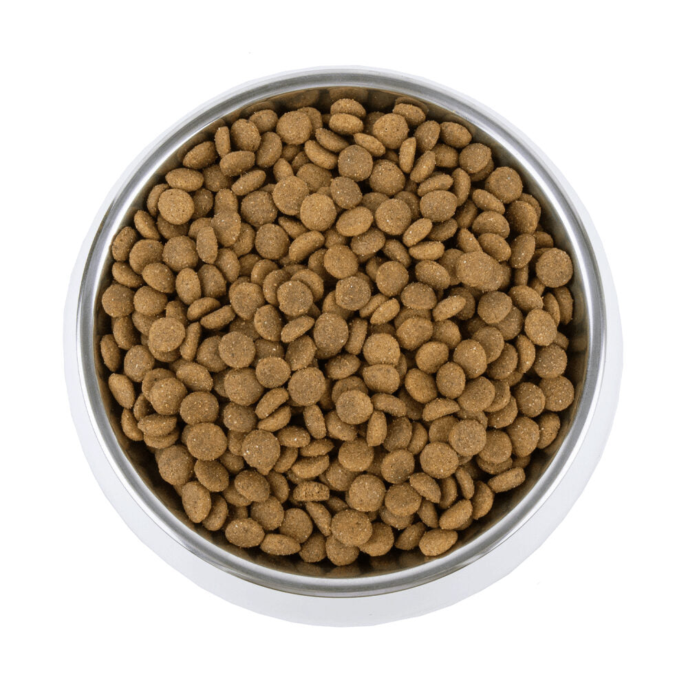  Vetality Gastrointestinal - Dog Food