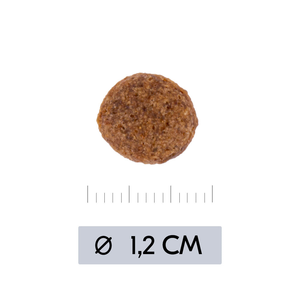  Vetality Hypoallergenic - Dog Food