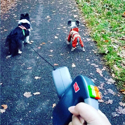  Wigzi Dual Doggie 3.0