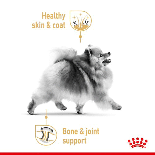  Royal Canin Pomeranian Adult Wet – Dog Food