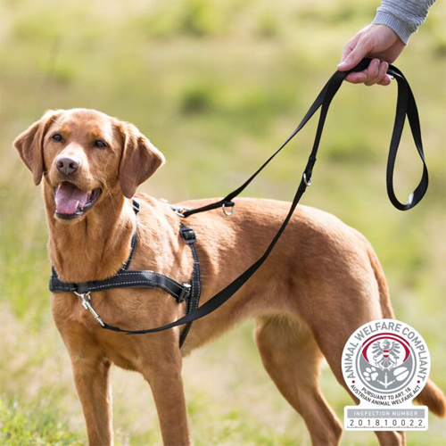  Trixie Lead'n Walk Soft Dog Harness