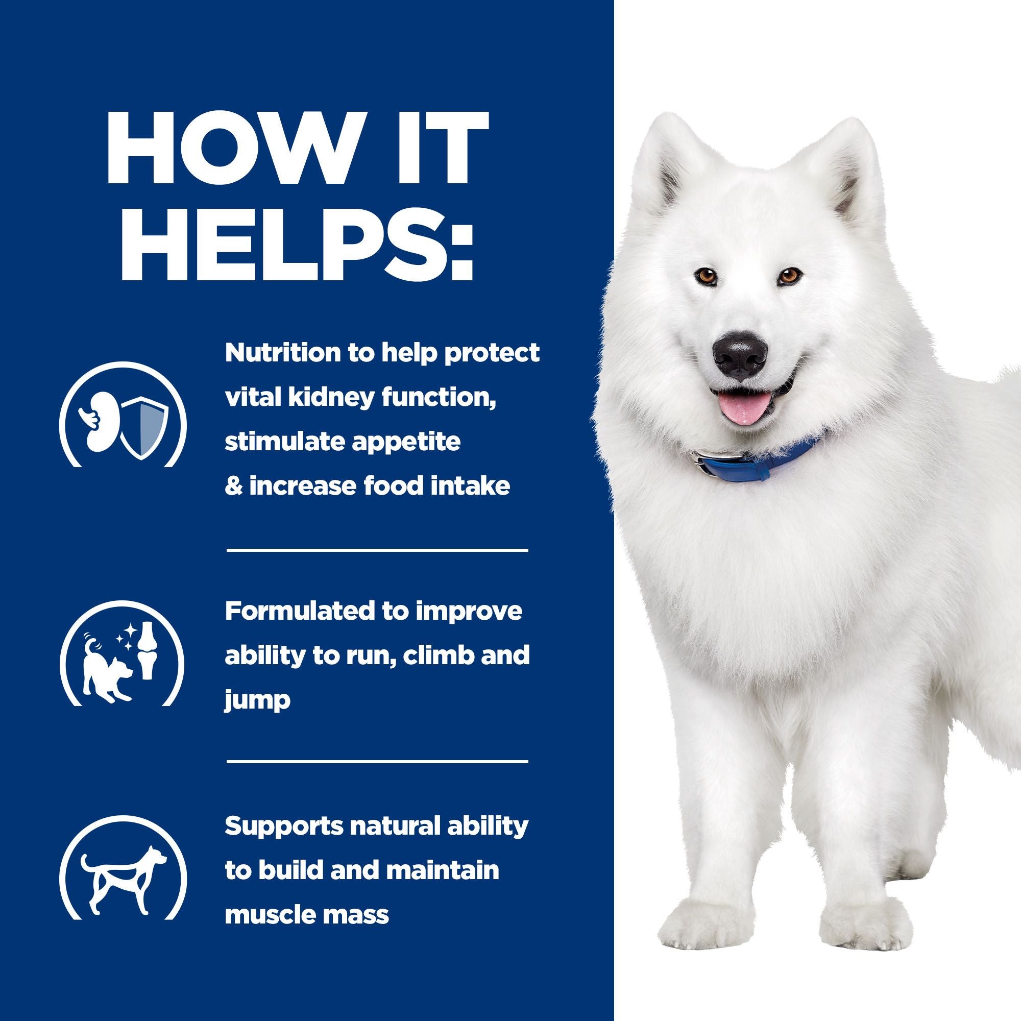  Hill's K/d + Mobility - Prescription Diet - Canine