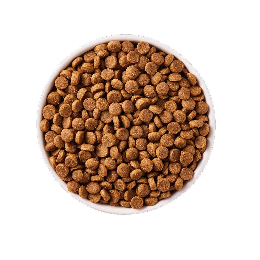  Yarrah - Dry Dog Food For Puppies Bio