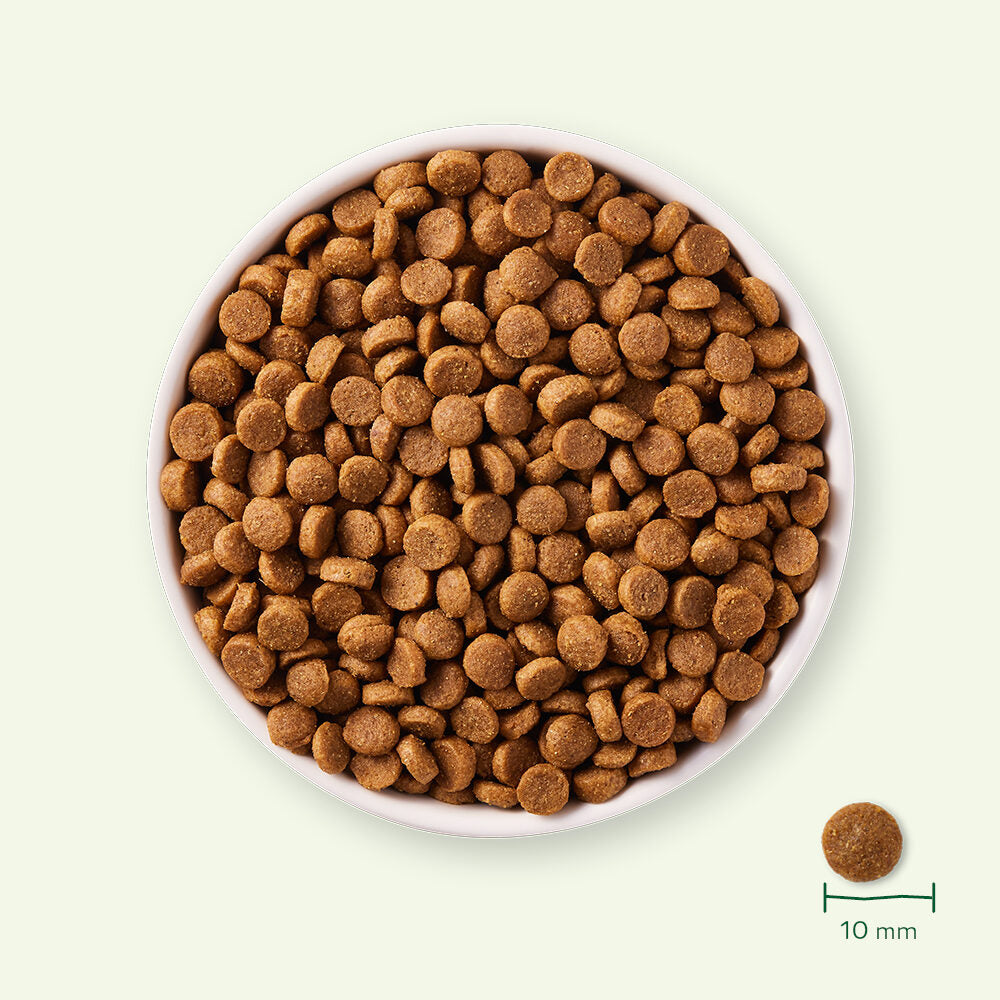  Yarrah - Dry Dog Food For Puppies Bio