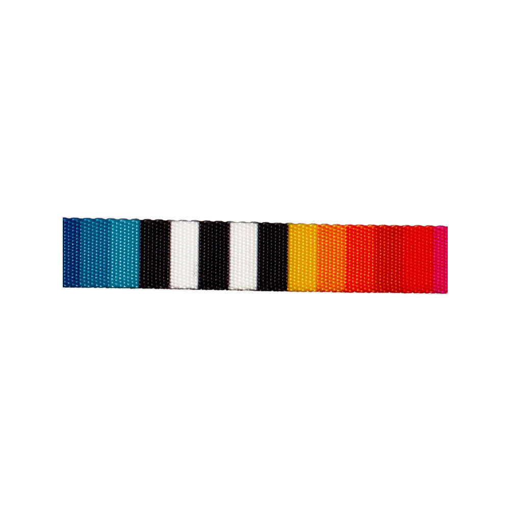  Zee.Dog Dog Collar