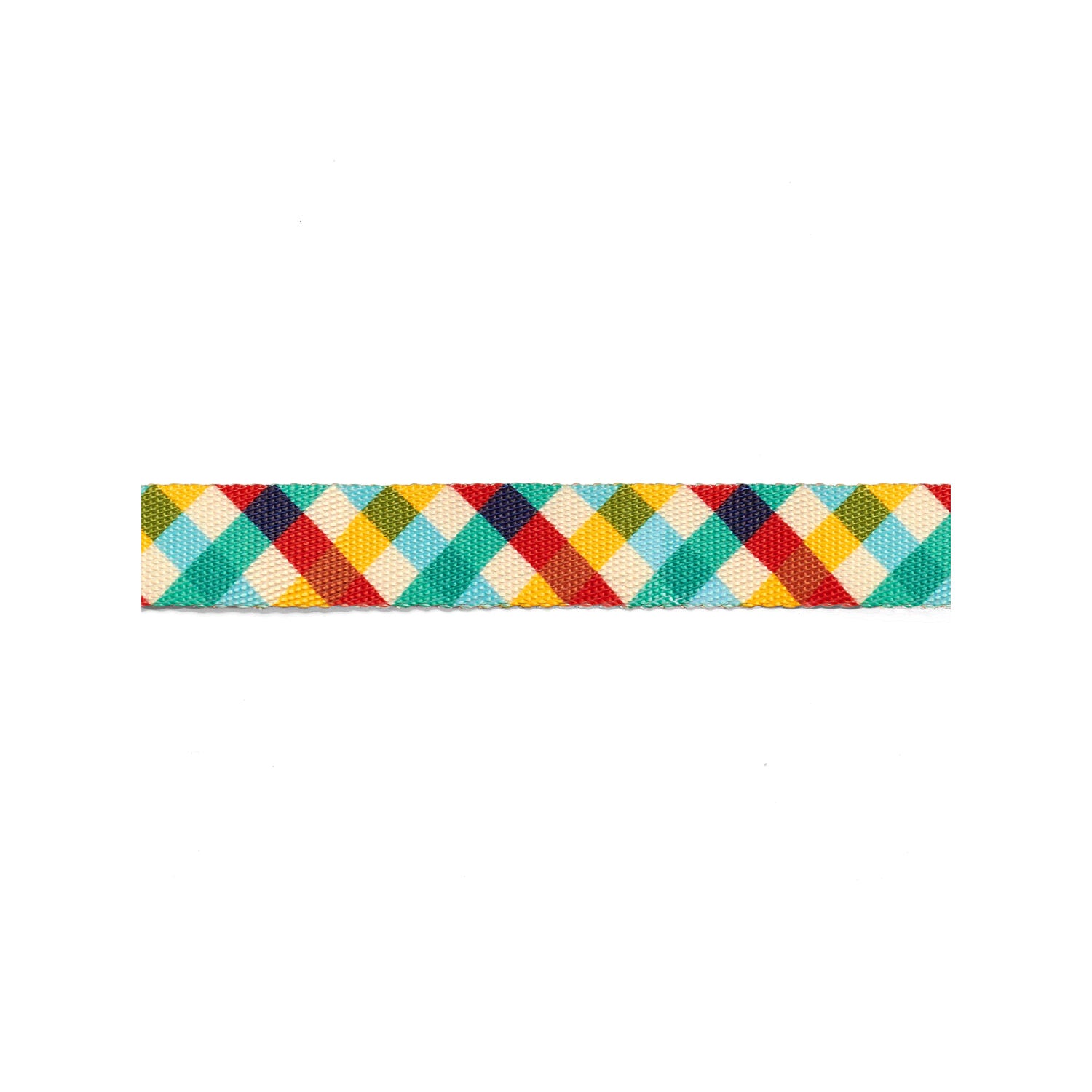  Zee.Dog Dog Collar