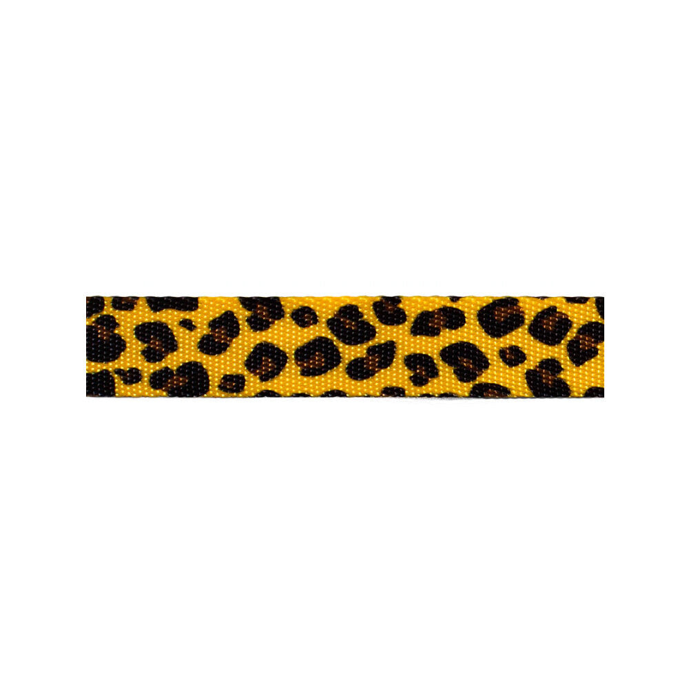  Zee.Dog Dog Collar